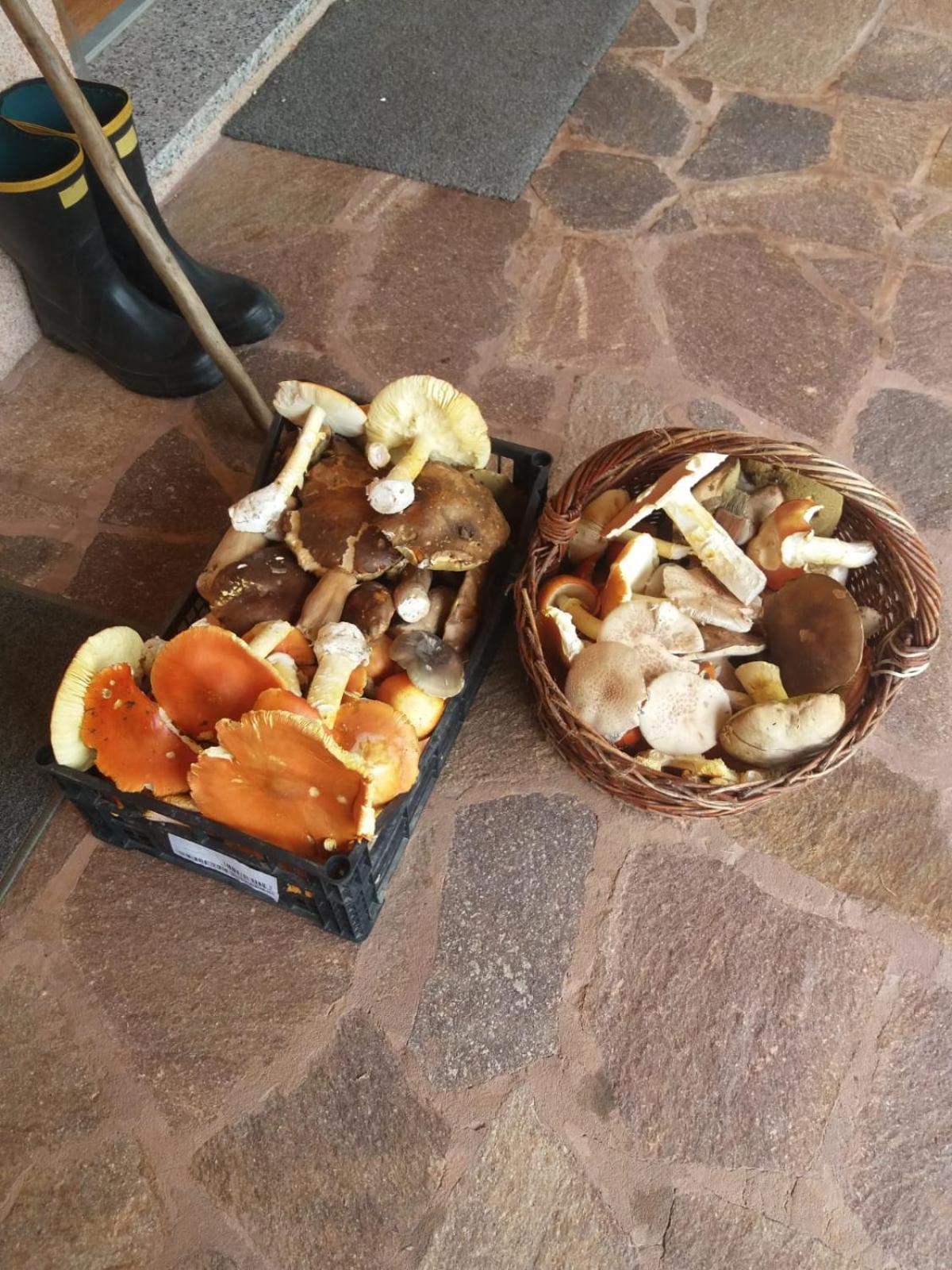 Wellness Villa Istriana Murine Zewnętrze zdjęcie